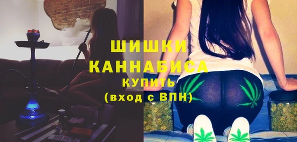 альфа пвп Медвежьегорск
